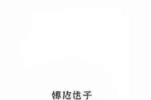 热度榜单《光年站台》联名争议条目封面